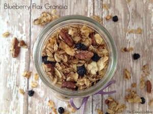 Homemade Blueberry Flax Granola