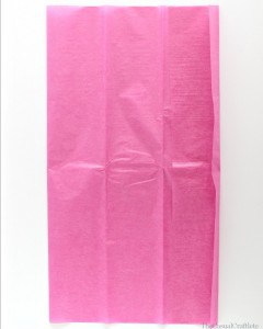 How to make a tissue paper tassel step 1 www.thecasualcraftlete.com